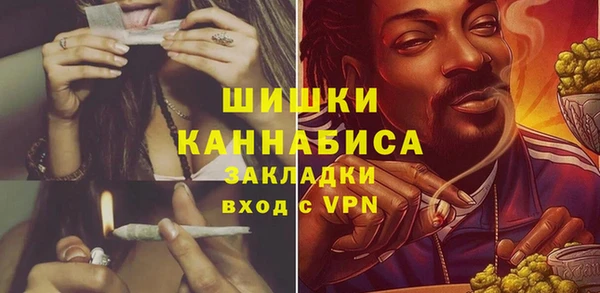 ПСИЛОЦИБИНОВЫЕ ГРИБЫ Пересвет