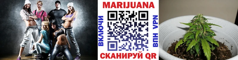 Шишки марихуана семена где продают ОМГ ОМГ зеркало площадка какой сайт Краснодар
